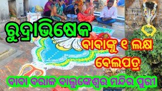 ବାବା ବରାଳ ବାଲୁଙ୍କେଶ୍ୱର ମନ୍ଦିର ପୁରୀ ବାବାଙ୍କୁ ୧ ଲକ୍ଷ ବେଲପତ୍ର ରୁଦ୍ରାଭିଷେକ ||Baba baral balukaswr puri