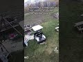 dog golf cart crash