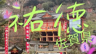 『佐賀県』祐徳稲荷神社に行ってきました‼️【参道/鳥居/参拝】