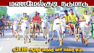 3மணமேல்குடி-நடுமாடு-30.000ஆயிரம்-பந்தயம்22.02.2025