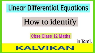 Linear Differential Equations Class 12 in Tamil / How to identify linear differential equations