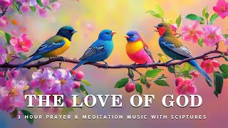 The Love Of God: Instrumental Worship and Scriptures with Birds 🕊 Eternal Keys