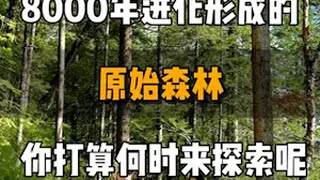 总以为很慢  但是周三都要立秋了，再有几个月就要过年了，你还没想好去哪里玩嘛四川旅游推荐 旅行推荐官 九寨沟旅游攻略 立秋 秋天的九寨沟