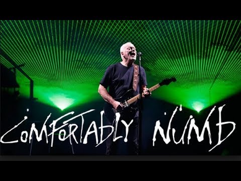 David Gilmour " Comfortably Numb " Royale Albert Hall 2006 - YouTube Music