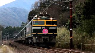 EF81-103 トワイライトエクスプレス  新疋田～敦賀 2013.03.25