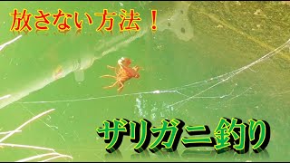 ルアーでザリガニ釣り！ザリガニのルアー釣り最強の方法