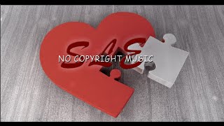 Puzzle - Roa - [Vlog No Copyright Music]