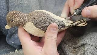 Shorebird Part II   Carving a curlew sandpiper