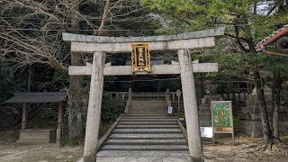 高良(こうら)神社⛩️石清水八幡宮摂社。表参道の頓宮のすぐ隣にあります。まるで森の中のような神秘的な雰囲気の神社です。#石清水八幡宮 #高良神社　#神社 #神社巡り #神秘的 #癒し #神社仏閣