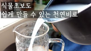 vlog 쉽게 만드는 천연 비료 / 달걀껍질/막걸리/쌀뜨물 비료