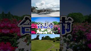 【予告】合志市は熊本で何番目の都市か？色々な都市と対決！ #地理系を救おう #地理 #地理系 #熊本県 #合志市