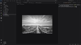 CS50x Python Final Project