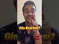 gin kya hai