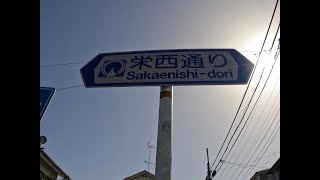 【埼玉】栄西通り（新座市）・復路を歩く　walking back on Sakaenishi-dori Street, Saitama