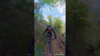 MTB Offenburg - Rappendobel Trail