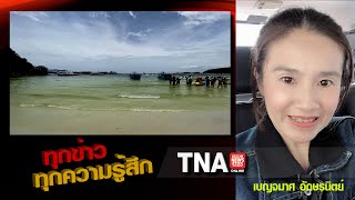 TNA ทุกข่าว ทุกความรู้สึก :  อวสานวันหยุดเกาะล้าน น้ำทะเลเป็นสีเขียว