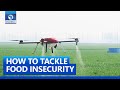 How To Tackle Food Insecurity With Agritech In Africa - Analyst