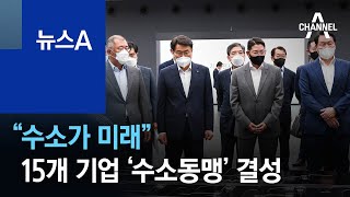 “수소가 미래”…SK·포스코 등 15개 기업 ‘수소동맹’ 결성 | 뉴스A