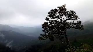 Carver Marsh View Point, Valparai