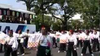 祭人衆～まつりびと～～2013年・第60回よさこい祭り