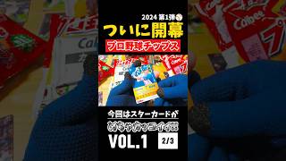 【開幕】#プロ野球チップス2024 第1弾開封 Vol.1 2/3 #shorts #プロ野球チップス #カード開封