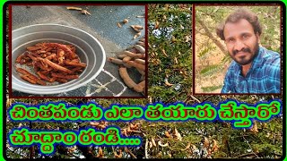 how to made tamarind || చింతపండు   || manyam venky || చింతపండు ఎలా తయారుచేస్తారు??