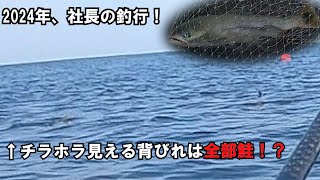 【#社長の釣行】2024年10月、海一面に大量の鮭の背びれ！