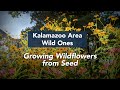 Kalamazoo Area Wild Ones: Growing Wildflowers from Seed