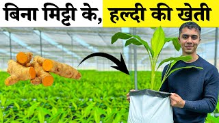 Soilless हल्दी Farming Secrets FINALLY Revealed (Hindi) | Agritalk by Abhinav Roy