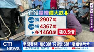 【每日必看】史上最慘! 黑鮪魚價「創新低」 每公斤2千元→149元@中天新聞CtiNews 20210717