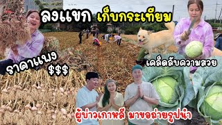 EP.669 Garlic collecting in South Korea, relatives and friends come to help,