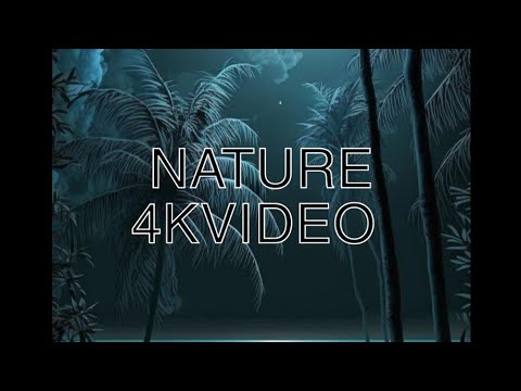 Nature 4k Video Youtube