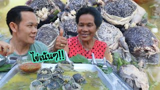 ต้มอึ่งไข่เต็มท้องเน้นๆ ฝนตกอึ่งออก ไข่เต็มคักเต็มแน่ |ฮ่องป่ง Hongpong Channel