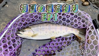 初夏の渓流釣りEPISODE1【渓流釣り 北海道】