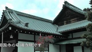 第46回京の冬の旅 非公開文化財特別公開　相国寺･大光明寺　2012/01/28