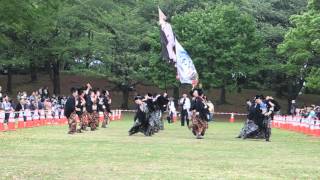 2016東京よさこい　なな丸隊　あっぱれ富士　芝生会場演舞「ナナイロ」