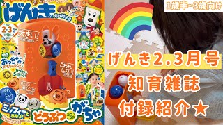 【知育雑誌】げんきの付録紹介★2.3月号は可愛いミッフィーちゃんの付録