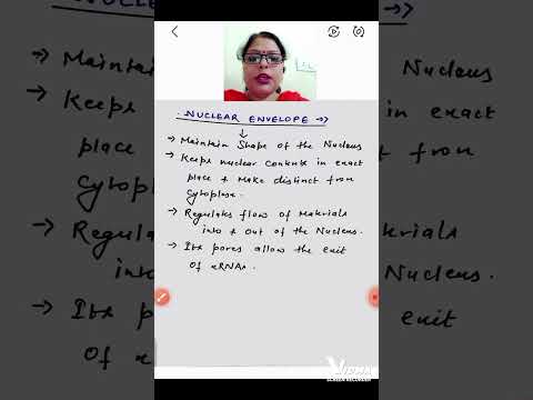 What is the function of the nuclear envelope?