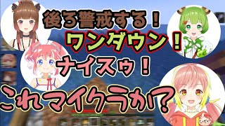 音声だけを聞くと何のゲームかわからなくなる切り抜き【日ノ隈らん／柚原いづみ／飛良ひかり／季咲あんこ】