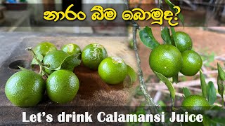 Calamansi Juice I Naran Juice I නාරං බීම I Mandarin Juice