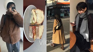 일상vlog.연말 데일리룩,퍼자켓 추천,얼바닉30 언박싱,에토스,서촌 카페,서촌 쇼룸,판교 맛집 구우트,리본빛 팝업,감자스프 만들기,판교 카페,인생 딸기케이크