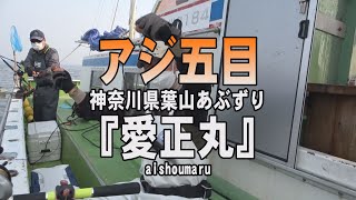 愛正丸・神奈川県葉山あぶずり港・アジ五目【釣りビジョン マガジン】