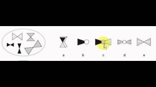 Non Verbal Reasoning Test 24