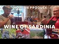 How we make Wine in Sardinia  The delicious Cannonau, Italian Wine of Sardinia.