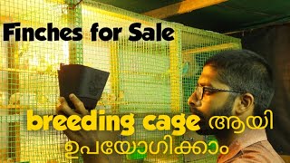 Finches for sale | breeding cage ആയി ഉപയോഗിക്കാൻ പറ്റിയ ഐറ്റം