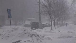 The streets have turned white! ⚠️ A sudden hailstorm hits Sydney, Australia