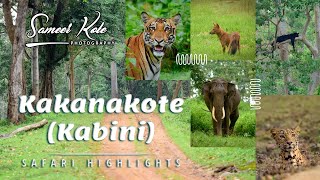 KAKANAKOTE WILDLIFE SAFARI - HIGHLIGHTS