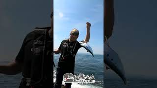 釣魚最喜歡這種流場 #shorts #fishing #short