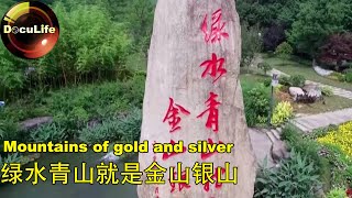 Mountains of “gold” and “silver”绿水青山就是金山银山