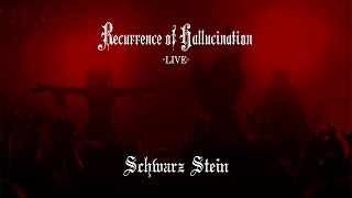 Schwarz Stein - Recurrence of Hallucination -live-